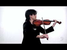 Load and play video in Gallery viewer, D'Addario Helicore Stranded Steel core Violin Strings 4/4 set