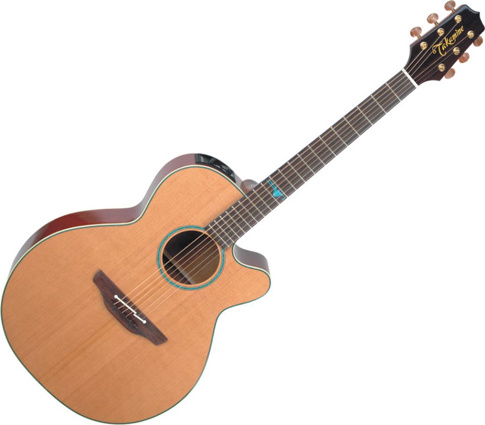 Guitar Takamine Pro Series TK-TS F40C